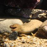 IMG_6445.JPG