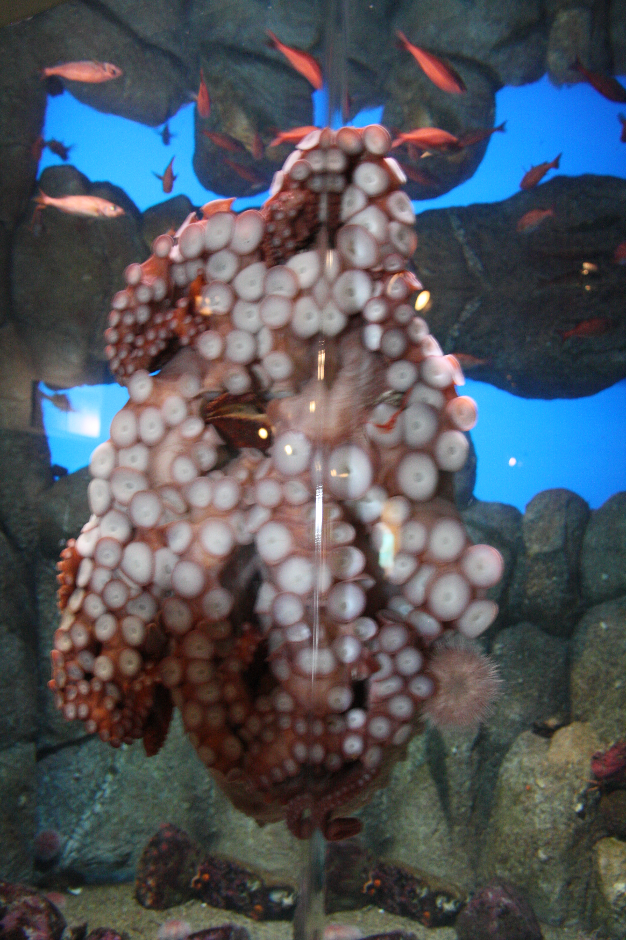 IMG_6451.JPG
