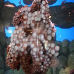 IMG_6451.JPG