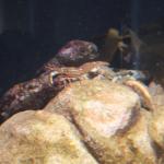 IMG_6454.JPG