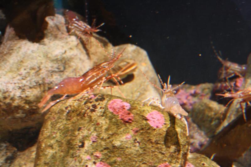 IMG_6455.JPG