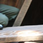 IMG_6652.JPG