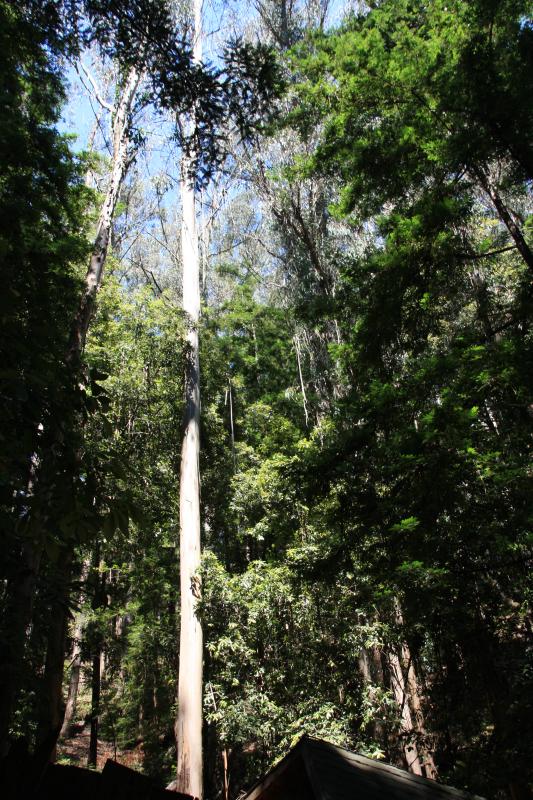 IMG_6672.JPG
