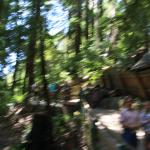 IMG_6692.JPG