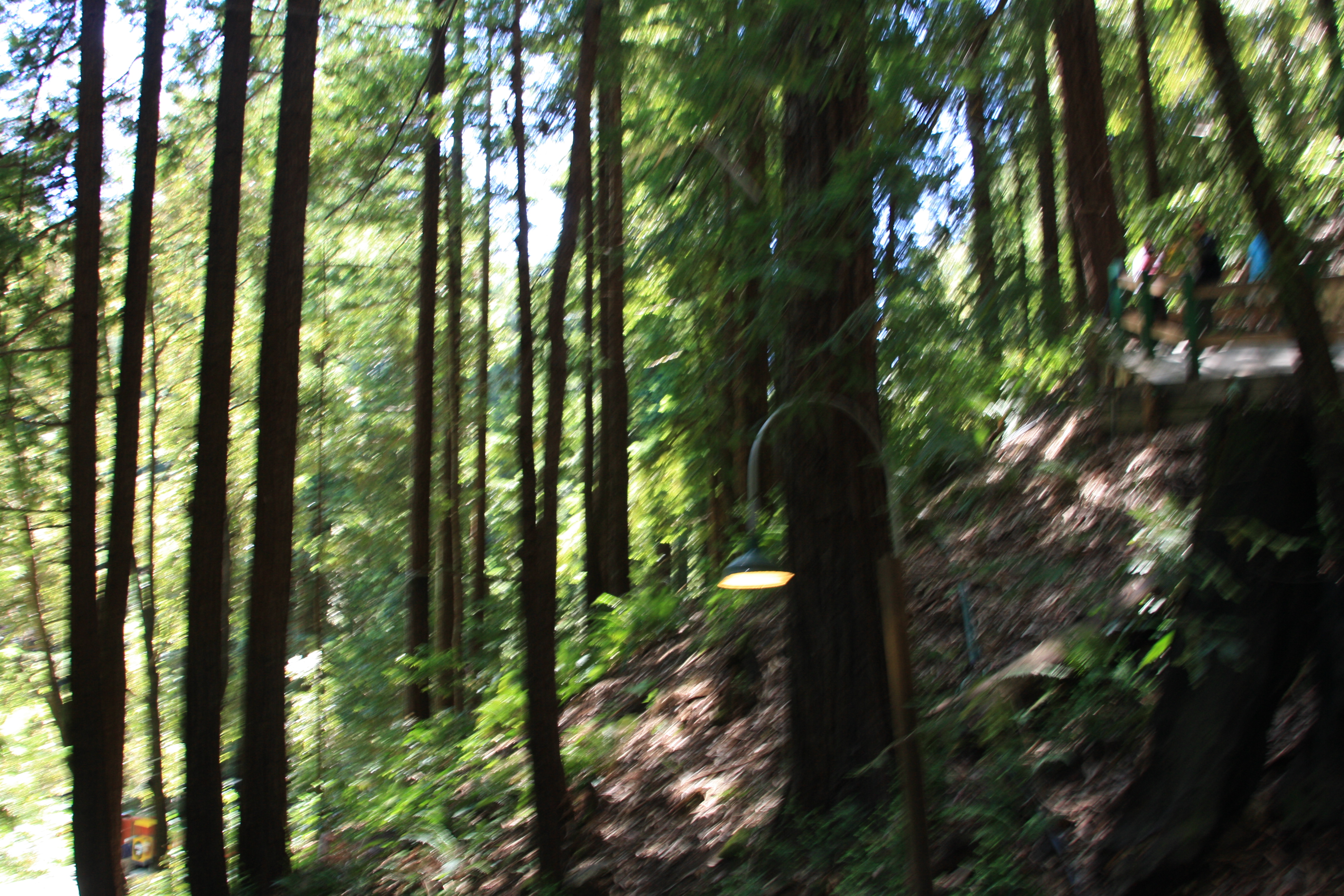 IMG_6693.JPG
