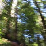 IMG_6696.JPG