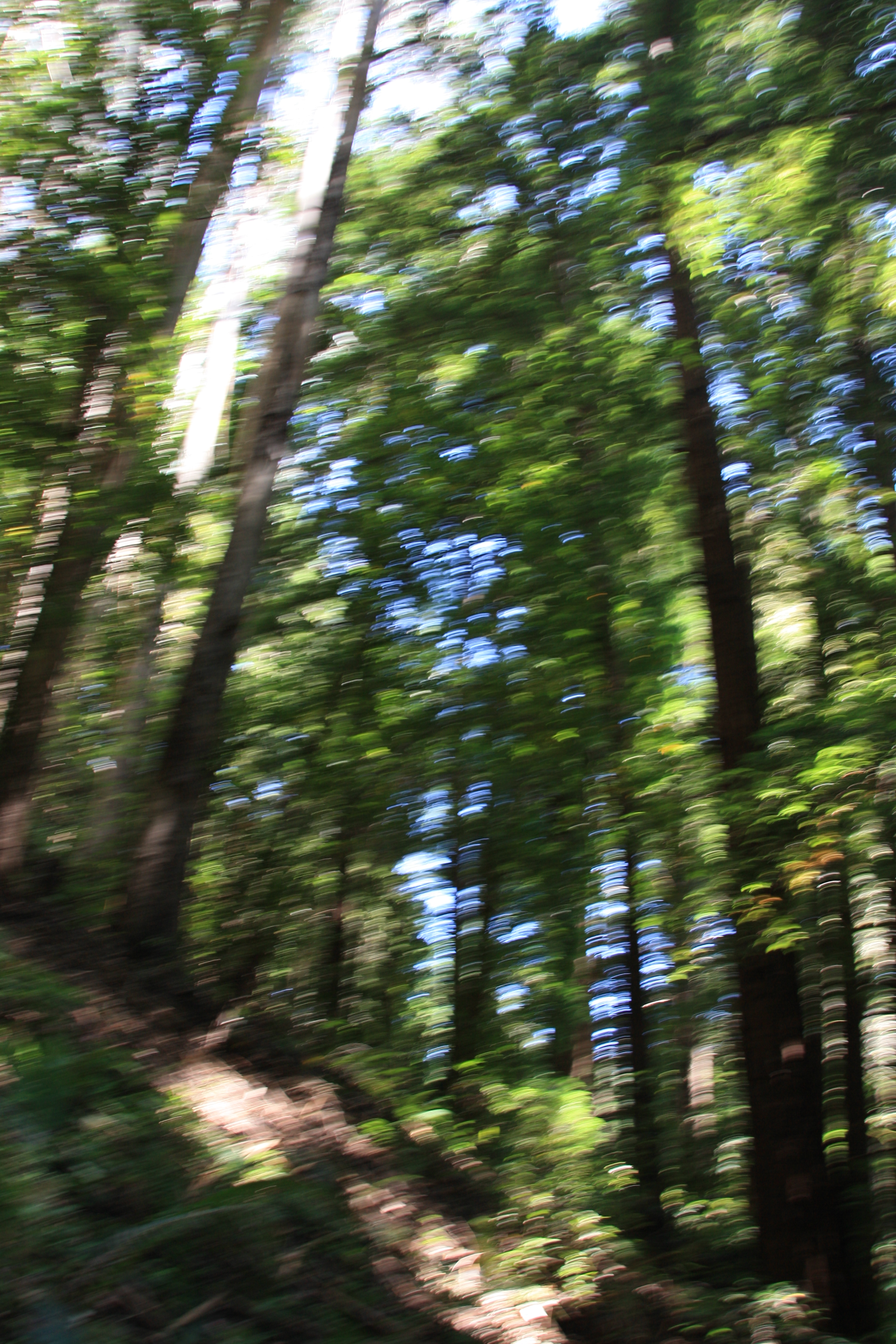 IMG_6697.JPG