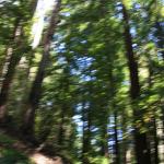 IMG_6697.JPG