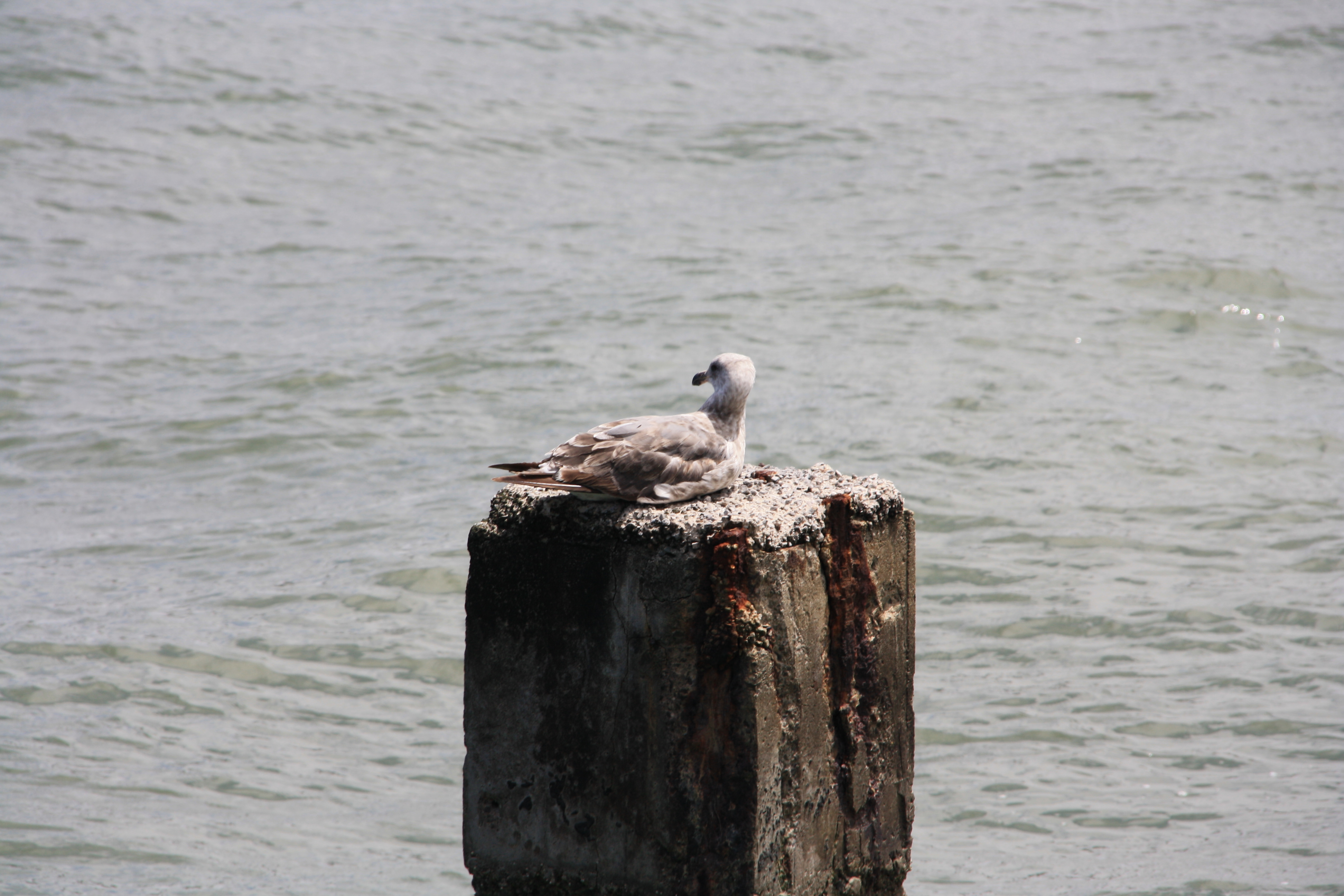 IMG_6903.JPG