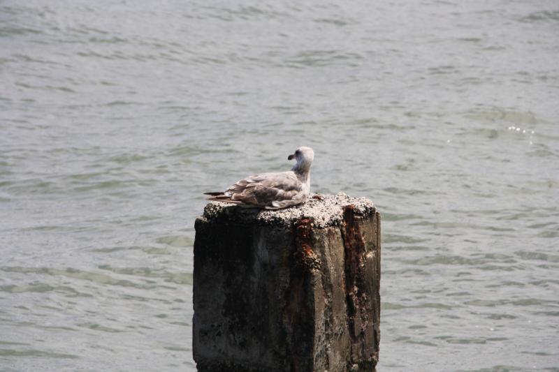 IMG_6903.JPG