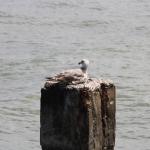 IMG_6903.JPG