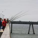 IMG_6932.JPG
