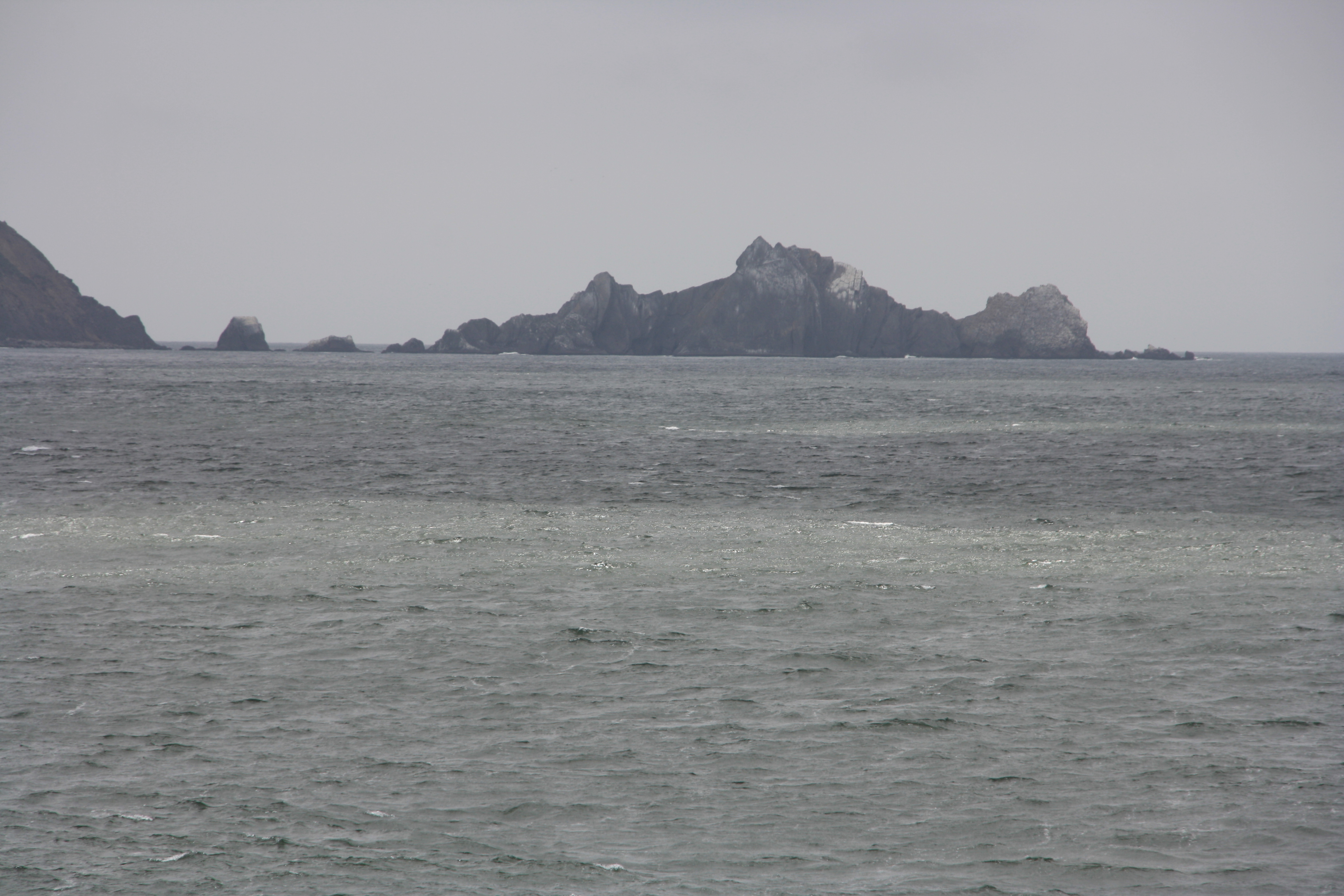 IMG_6940.JPG