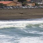 IMG_6942.JPG