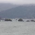 IMG_6949.JPG