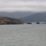 IMG_6950.JPG