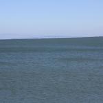 IMG_6960.JPG