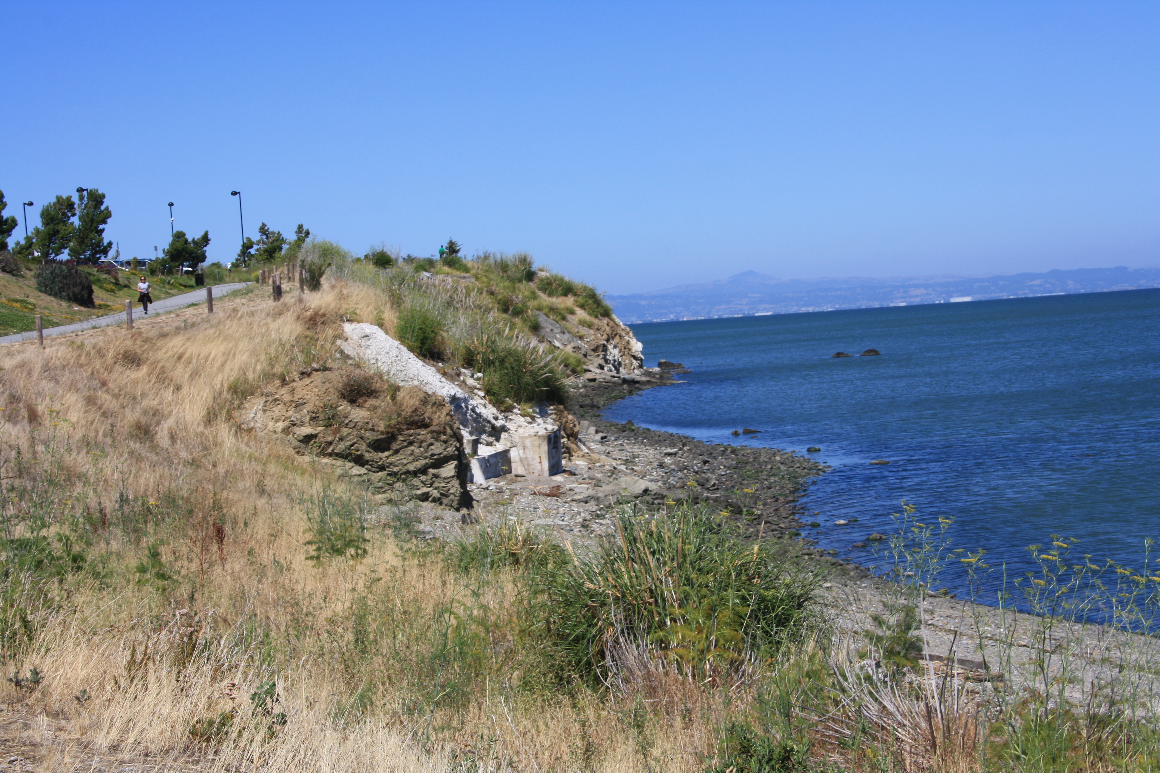 IMG_6961.JPG