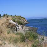 IMG_6961.JPG