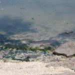 IMG_6965.JPG