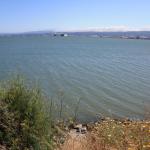IMG_6972.JPG