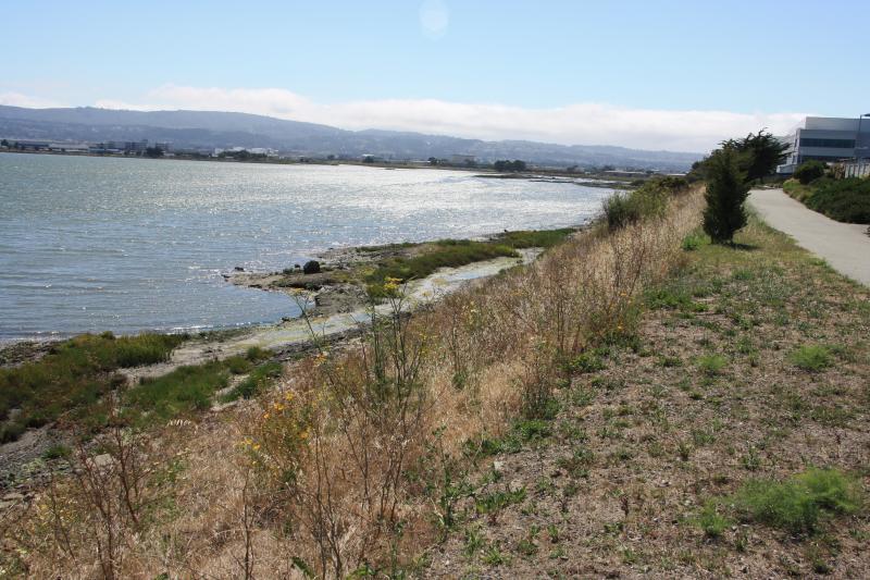 IMG_6976.JPG