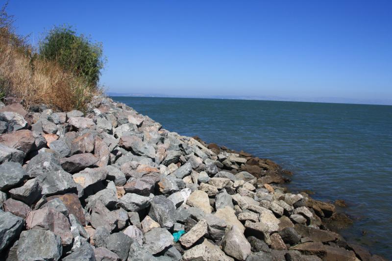 IMG_6982.JPG