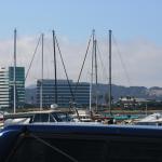 IMG_7000.JPG