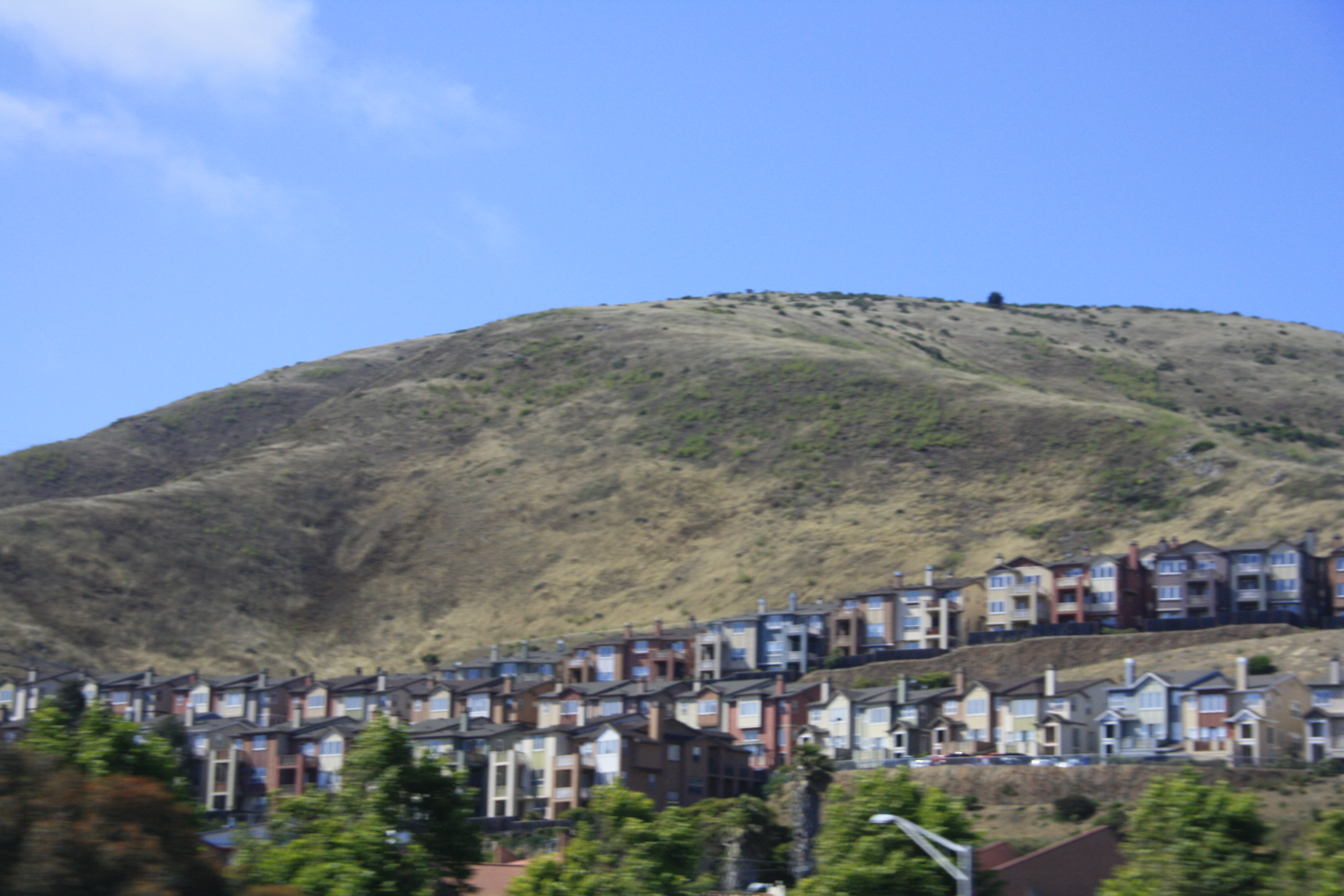 IMG_7005.JPG