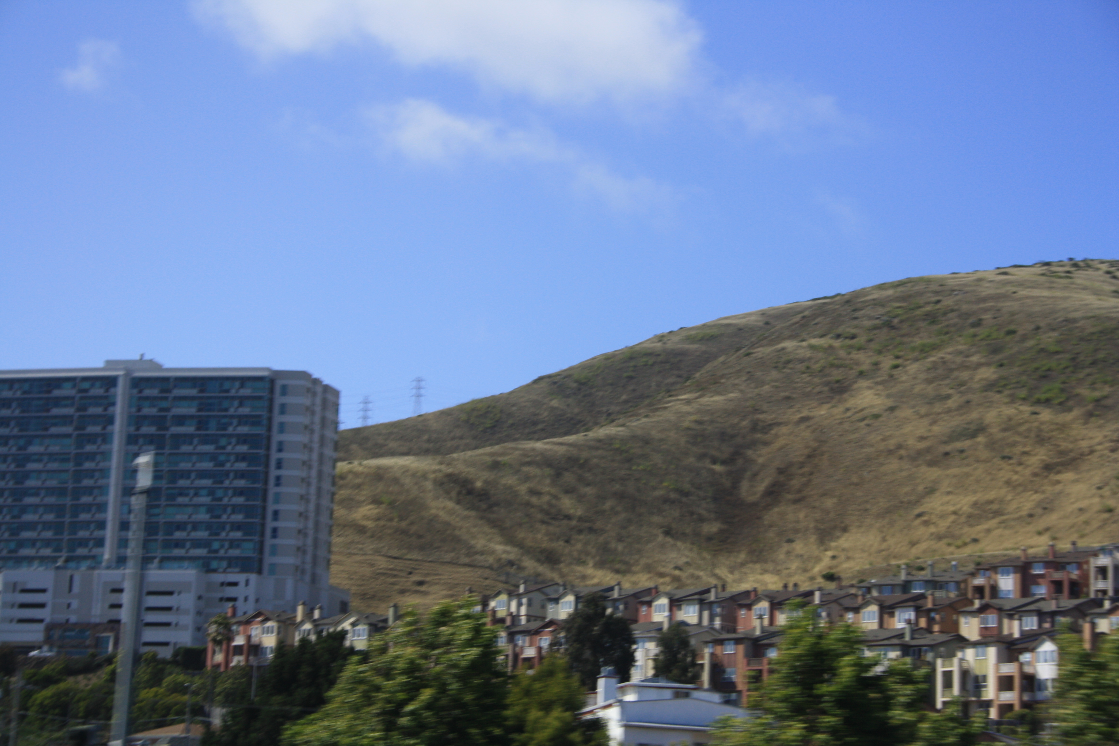 IMG_7006.JPG