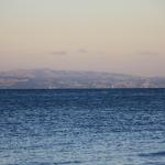 IMG_7017.JPG