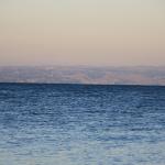 IMG_7018.JPG