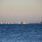 IMG_7022.JPG