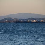IMG_7023.JPG