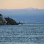 IMG_7028.JPG