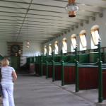 IMG_7353.JPG
