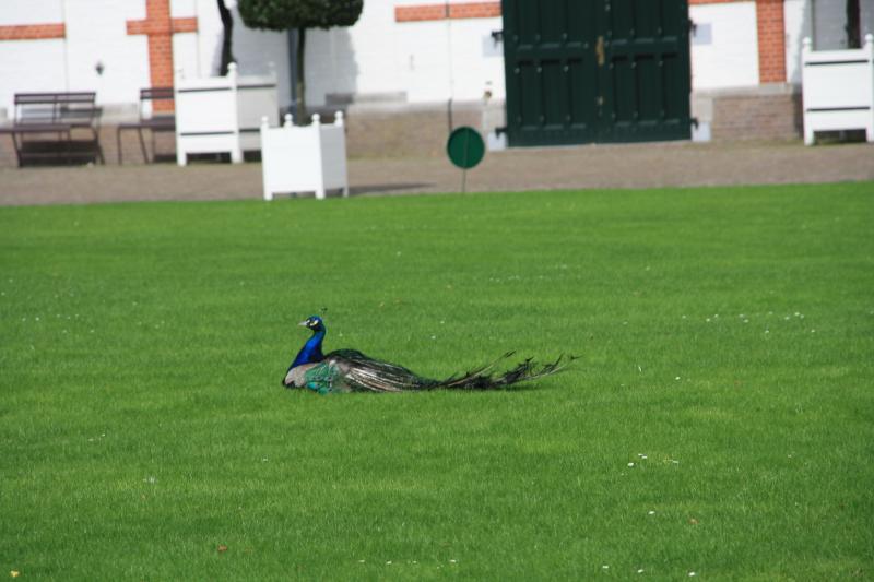 IMG_7075.JPG