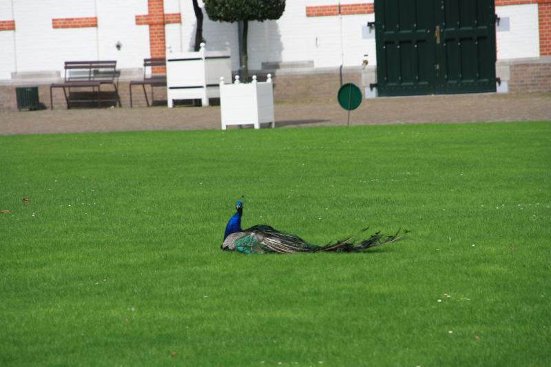 IMG_7076.JPG