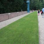 IMG_7132.JPG