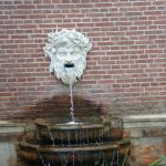 IMG_7144.JPG