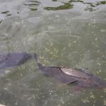IMG_7159.JPG