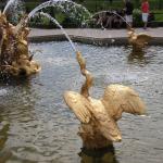 IMG_7235.JPG
