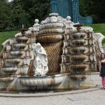 IMG_7253.JPG