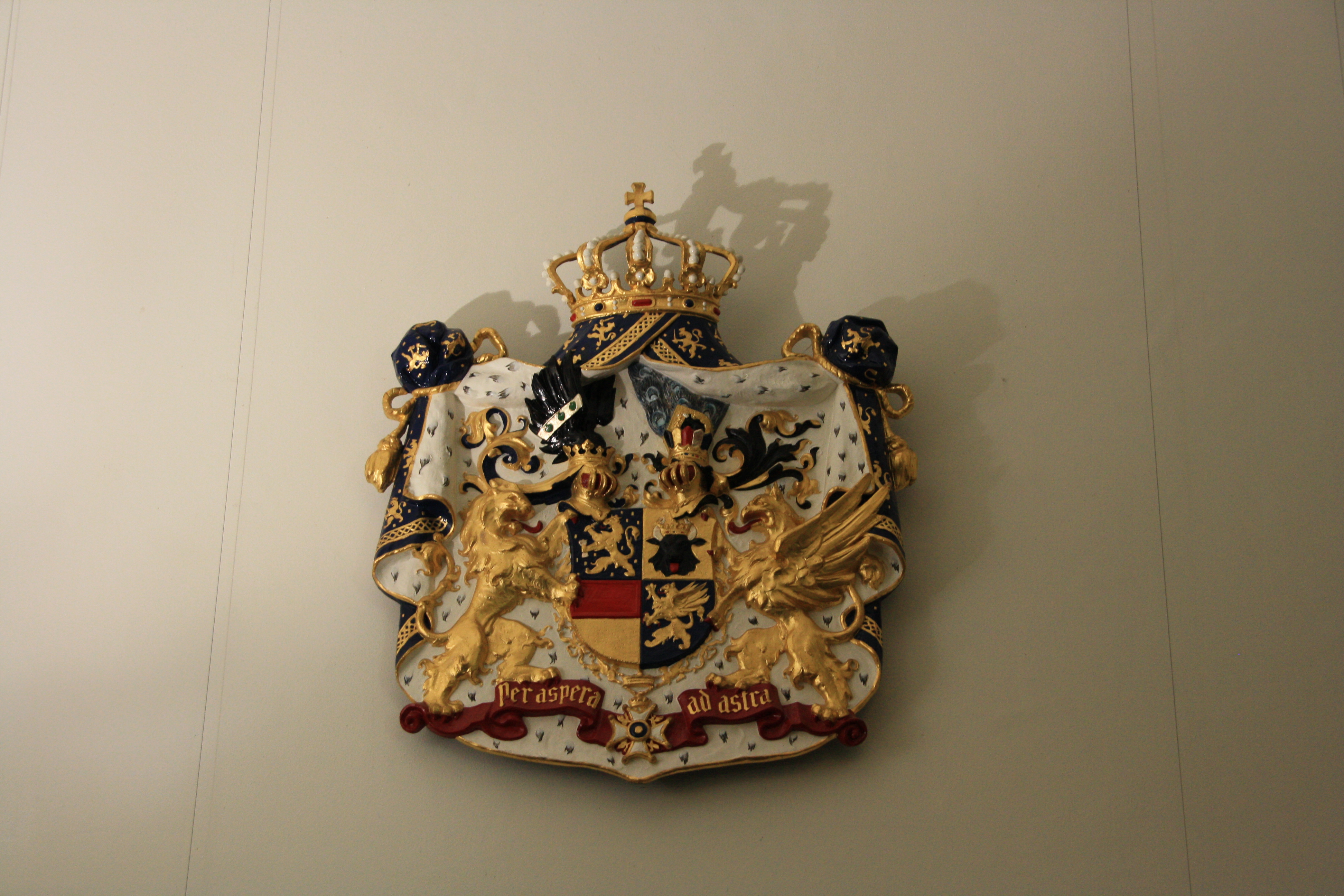 IMG_7348.JPG