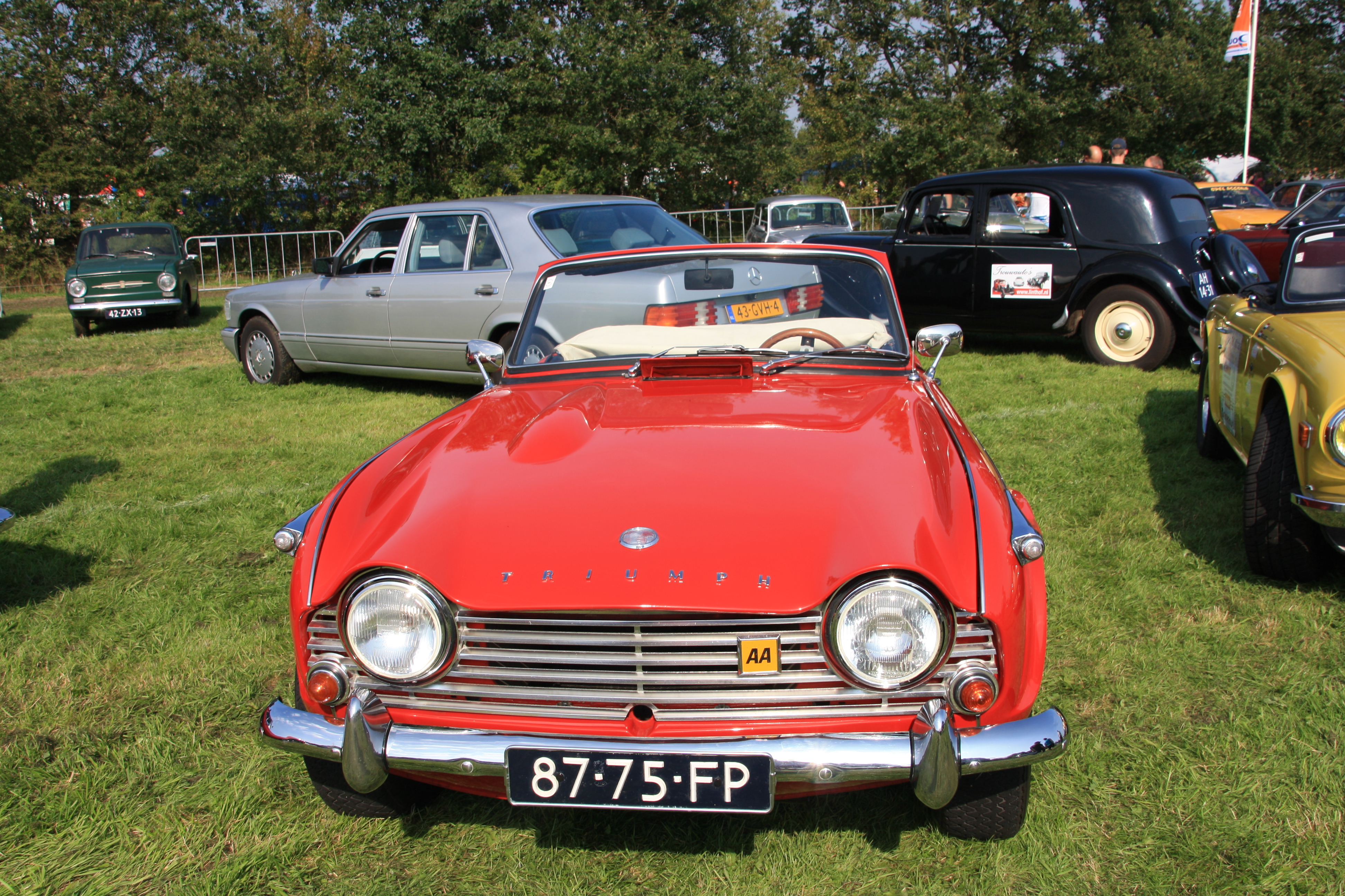 IMG_7524.JPG
