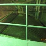 IMG_1992.JPG