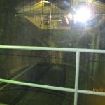 IMG_1993.JPG