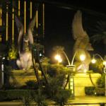 IMG_1558.JPG
