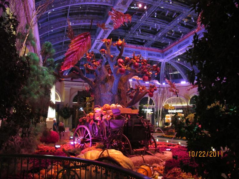 IMG_1589.JPG