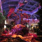 IMG_1589.JPG